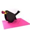 Greeting card blackbird