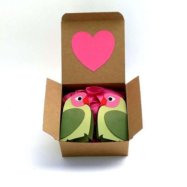 Adele Pound Mini lovebirds green in box