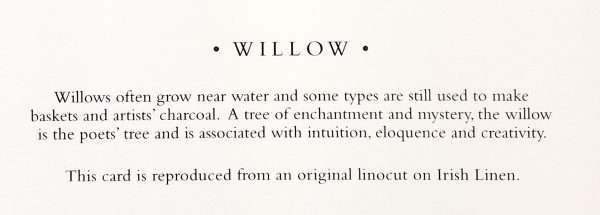 Willow text