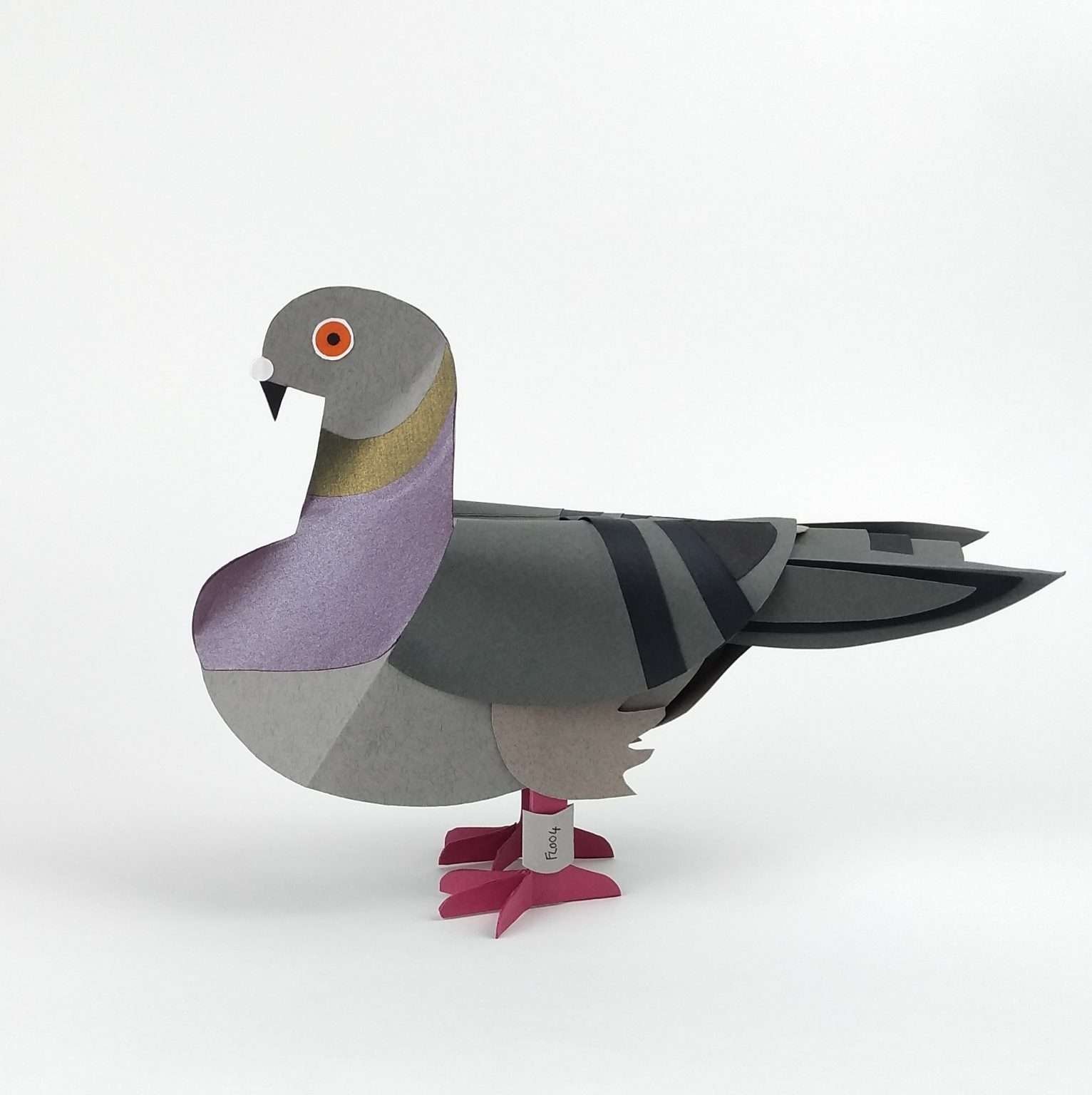 Paper Pigeon Dark grey