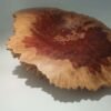 Red Mallee Burr Sculptural Bowl - Image 3