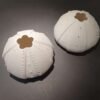 Porcelain Urchin Tea Light - Image 2