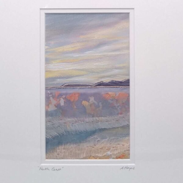 North Coast Small Mounted Picture