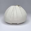 Porcelain Urchin Tea Light Gold Dribble - Image 2