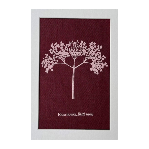 Art Print - Elderflower on Natural Linen (cranberry)