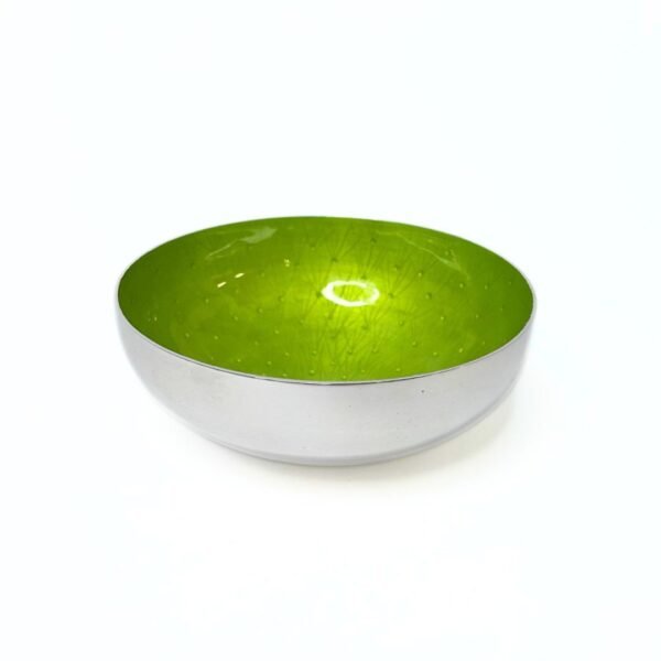 Grass silver bowl with vitreous enamel